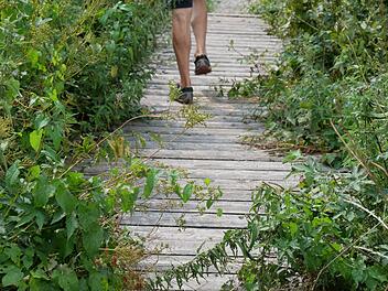 Zugewachsen ist der Steg am Wiesenwanderweg, den der Agenda-Arbeitskreis vor elf Jahren errichtet hat. Die Stadt wird sich kümmern. Der Arbeitskreis ist in Auflösung begriffen, aber Bürgermeister Helmut Blank hält daran fest. Heike Beudert