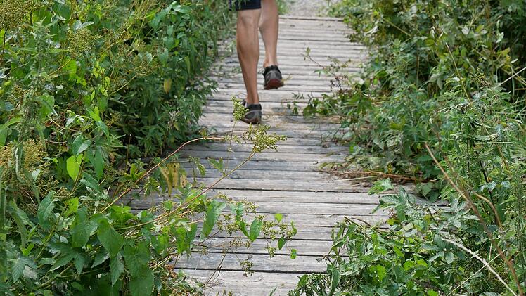 Zugewachsen ist der Steg am Wiesenwanderweg, den der Agenda-Arbeitskreis vor elf Jahren errichtet hat. Die Stadt wird sich kümmern. Der Arbeitskreis ist in Auflösung begriffen, aber Bürgermeister Helmut Blank hält daran fest. Heike Beudert