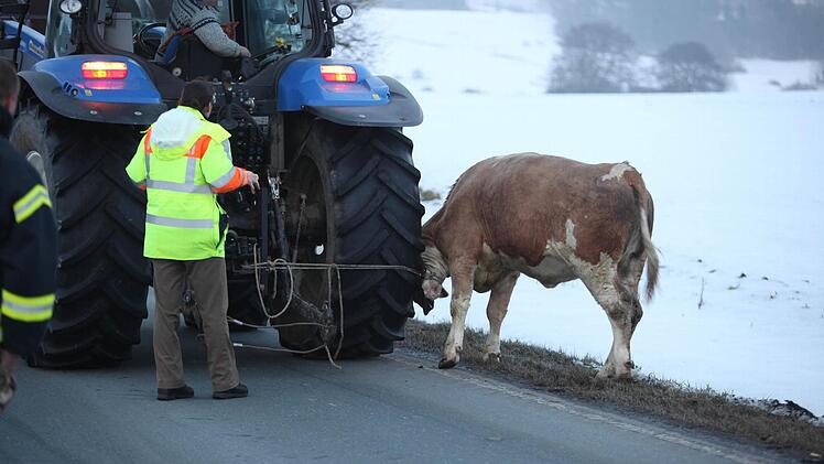Foto: News5 / Fricke