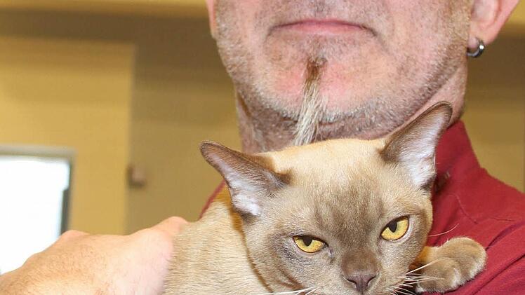 Der Vorsitzende des Cat Clubs Germany und Ausstellungsleiter, Günter Wühr, freute sich, dass 18 verschiedene Rassen und mehr als hundert Tiere bei der Ausstellung in Kulmbach dabei waren