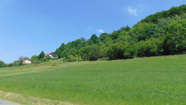 Blick auf das neue Baugebiet "Weber" Foto: Petra Malbrich