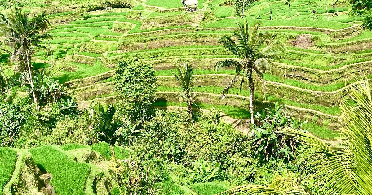 Qualit-t-statt-Masse-Bali-plant-Geldnachweis-f-r-Touristen