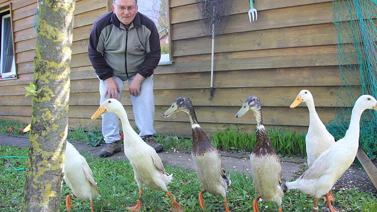 Schön hoch das Bein: In Reih' und Glied marschieren die Laufenten durch Harald Nagels Garten.  Foto: Diana Fuchs