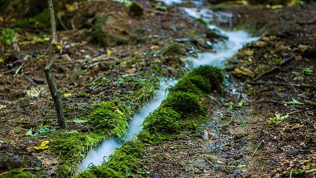 Steinerne Rinne bei Raschbach