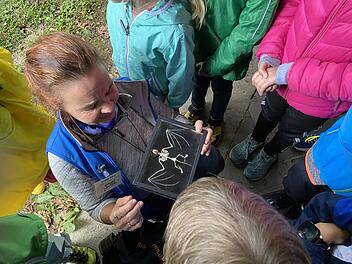 Bamberg: Kostenfreie Fledermaus-F&uuml;hrung f&uuml;r Familien findet bald - Infos zur Anmeldung