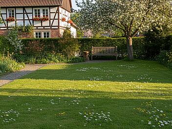 G&auml;nsebl&uuml;mchen im Garten k&ouml;nnen ein Warnsignal sein