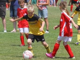 Eine Szene von der DJK-Diözesanmeisterschaft der F2-Jugendlichen, DJK SpVgg Effeltrich (gelb) gegen DJK Königsfeld: Der Effeltricher Manuel Erlwein setzt sich hier durch und erzielt das 1:0.  Foto: Mathias Erlwein