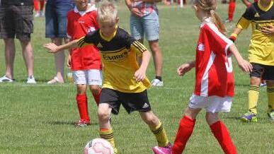 Eine Szene von der DJK-Diözesanmeisterschaft der F2-Jugendlichen, DJK SpVgg Effeltrich (gelb) gegen DJK Königsfeld: Der Effeltricher Manuel Erlwein setzt sich hier durch und erzielt das 1:0.  Foto: Mathias Erlwein