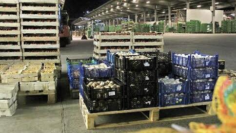 Noch ist es tiefe Nacht: In wenigen Minuten öffnet der Großmarkt in Nürnberg seine Tore, dann stehen die Pilzkisten bald nicht mehr da. Foto: Sarah Dann