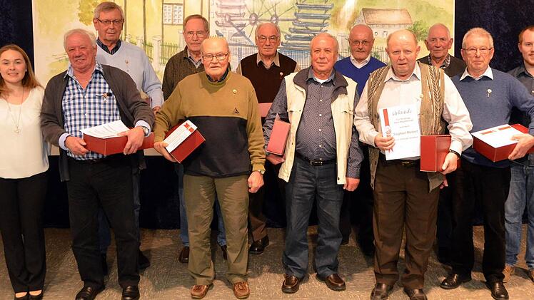Zahlreiche Mitglieder wurden für eine über 40-jährige Mitgliedschaft geehrt (von links): Abteilungsleiterin Sabine Primack, Willi Hofmann, Joachim Hofmann, Gerhard Schneider, Horst Schlereth, Hans-Heinz Engelhard, Lorenz Oppelt, Günther Egerer, Siegfried Markert, Josef Markert, Peter Markert, stellvertretender Vorsitzender Albin Minnich. Foto: Peter Rauch