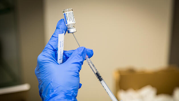 Corona-Impfstoff nichts für Veganer*innen: Was dahinter steckt