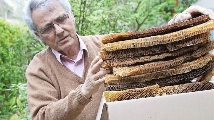 Abschied mit Wehmut von einem liebgewordenen Hobby: Die Waben der zugrunde gegangenen Bienenvölker wird Herbert Mengesdorf einem Imkerkollegen zum Einschmelzen und Wiederverwerten des Wachses übergeben. Foto: Ramona Popp