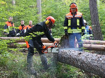 Noch ist nicht klar, wieviel Holz heuer im Kupferberger Spitalwald eingeschlagen wird. Symbolbild: Archiv/privat