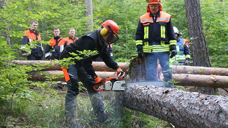 Noch ist nicht klar, wieviel Holz heuer im Kupferberger Spitalwald eingeschlagen wird. Symbolbild: Archiv/privat