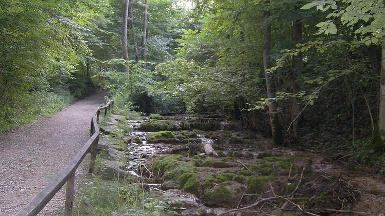 Ein schattiger Weg führt an den Kalktuffstufen vorbei.,