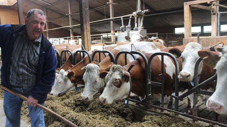 Einmal am Tag füttert Jürgen Angermüller seine Kühe. Zuletzt sei nicht nur die Zahl der Kühe pro Hof gestiegen, sondern auch die Menge an Milch, die jede Kuh gibt.   Foto: Dominic Buckreus