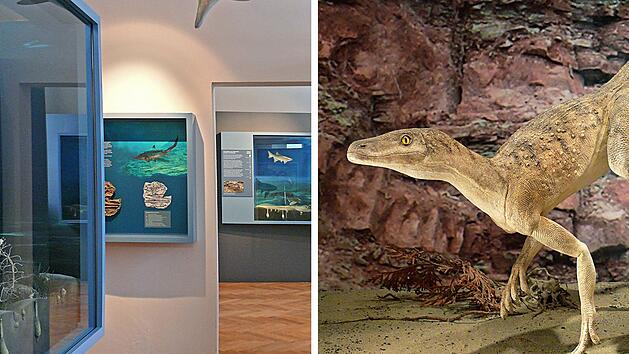 Im Terra Triassica in Euerdorf k&ouml;nnt ihr in vergangene Zeiten reisen.