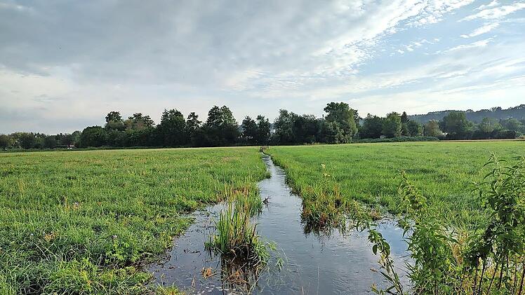 Ein Beispiel f&uuml;r die hiesige Kulturlandschaft: die W&auml;sserwiesen in Forchheim.