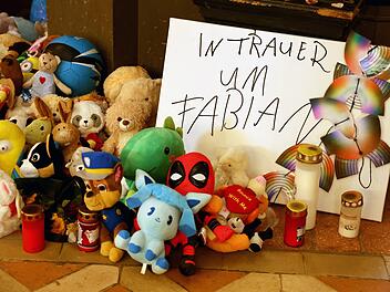 Fall Fabian in "Aktenzeichen XY..."