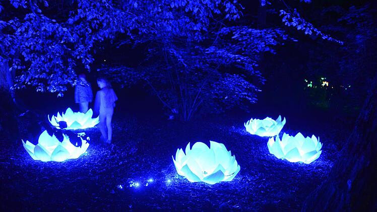 Coburg leuchtet bei der Museumsnacht 2014. Foto: Ronald Rinklef