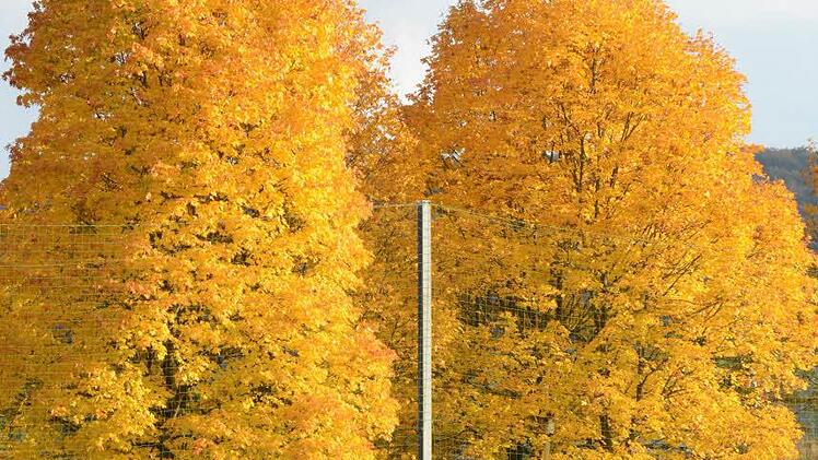 Souver&auml;ne Torsteher in Langendorf. Foto: ssp