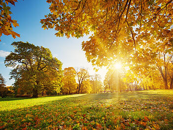 Goldener Oktober, Herbst, Sonne