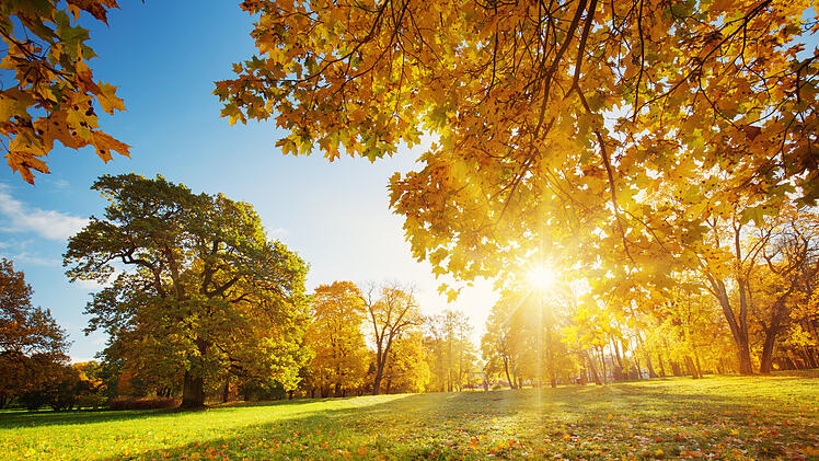 Goldener Oktober, Herbst, Sonne