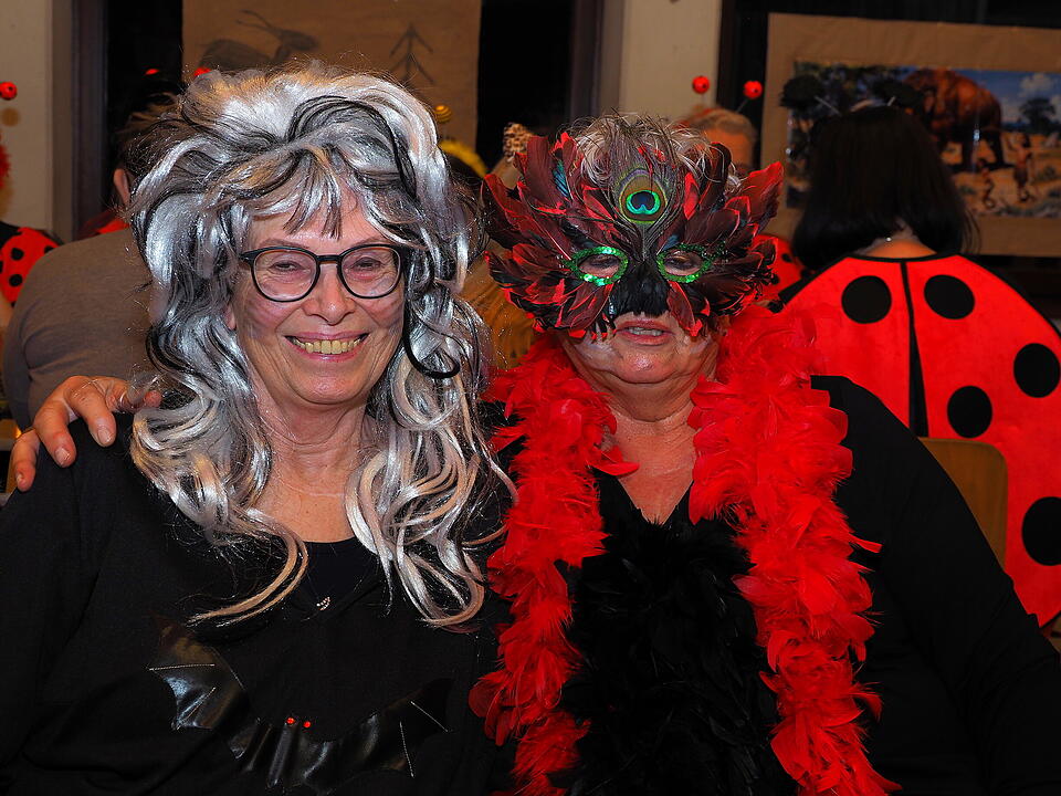 Fasching 2025 im Landkreis Bad Kissingen.