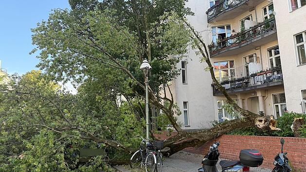 Tote und mehrere Verletzte nach Mega-Sturm - wichtige deutsche Zugverbindung gesperrt