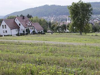 Das Gebiet "Ehrlich" eigne sich am besten für Bauland. Hier seien die Eingriffe in die Natur am Geringsten, argumentierte Planer Leonhard Valier aus Bamberg.  Foto: Josef Hofbauer