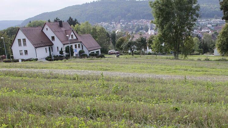 Das Gebiet "Ehrlich" eigne sich am besten für Bauland. Hier seien die Eingriffe in die Natur am Geringsten, argumentierte Planer Leonhard Valier aus Bamberg.  Foto: Josef Hofbauer