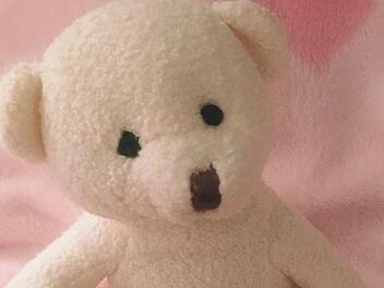 In der Babyklappe wartete Teddy "Herbi" auf seinen neuen besten Freund. Foto: "KARO e.V."