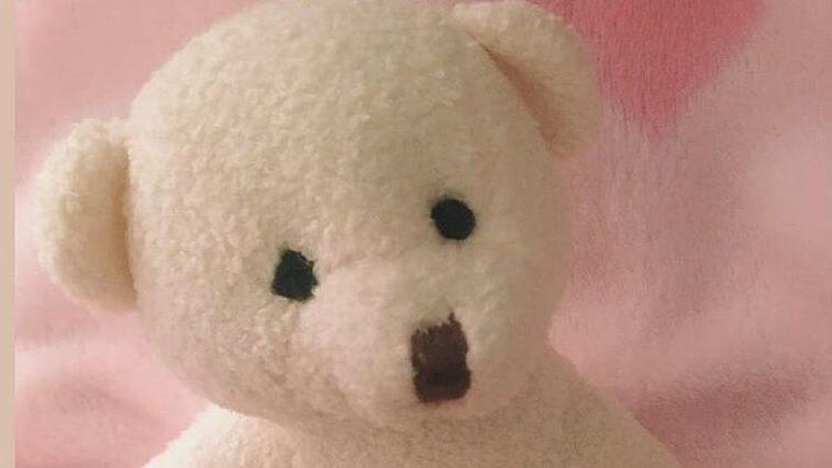 In der Babyklappe wartete Teddy "Herbi" auf seinen neuen besten Freund. Foto: "KARO e.V."