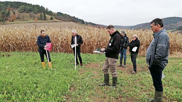 Gew&auml;sserberater Julian Megner (erster von links) zeigt Landwirten und Anbietern von Saatgutmischungen f&uuml;r Zwischenfr&uuml;chte die positive Wirkung von Zwischenfruchtanbau auf dem Feld.