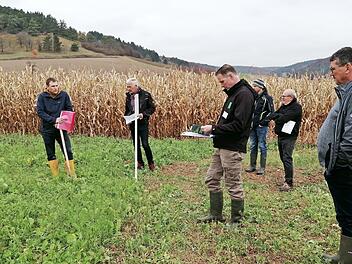 Gewässerberater Julian Megner (erster von links) zeigt Landwirten und Anbietern von Saatgutmischungen für Zwischenfrüchte die positive Wirkung von Zwischenfruchtanbau auf dem Feld.
