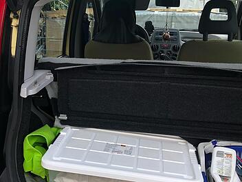 Tierheim Bamberg: Katze spurlos verschwunden - Tierschützer geben traurige Gewissheit Tierheim Bamberg: Katze spurlos verschwunden - Tierschützer geben traurige Gewissheit