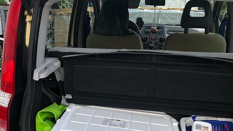 Tierheim Bamberg: Katze spurlos verschwunden - Tierschützer geben traurige Gewissheit