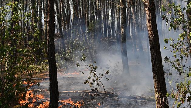 Warnung vor Waldbrandgefahr in Franken - auch im Kreis Bamberg