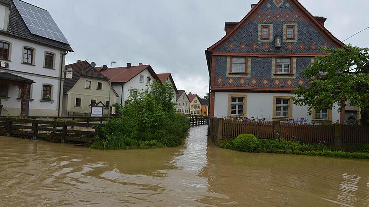 Wiesengiech. Foto:Ronald Rinklef