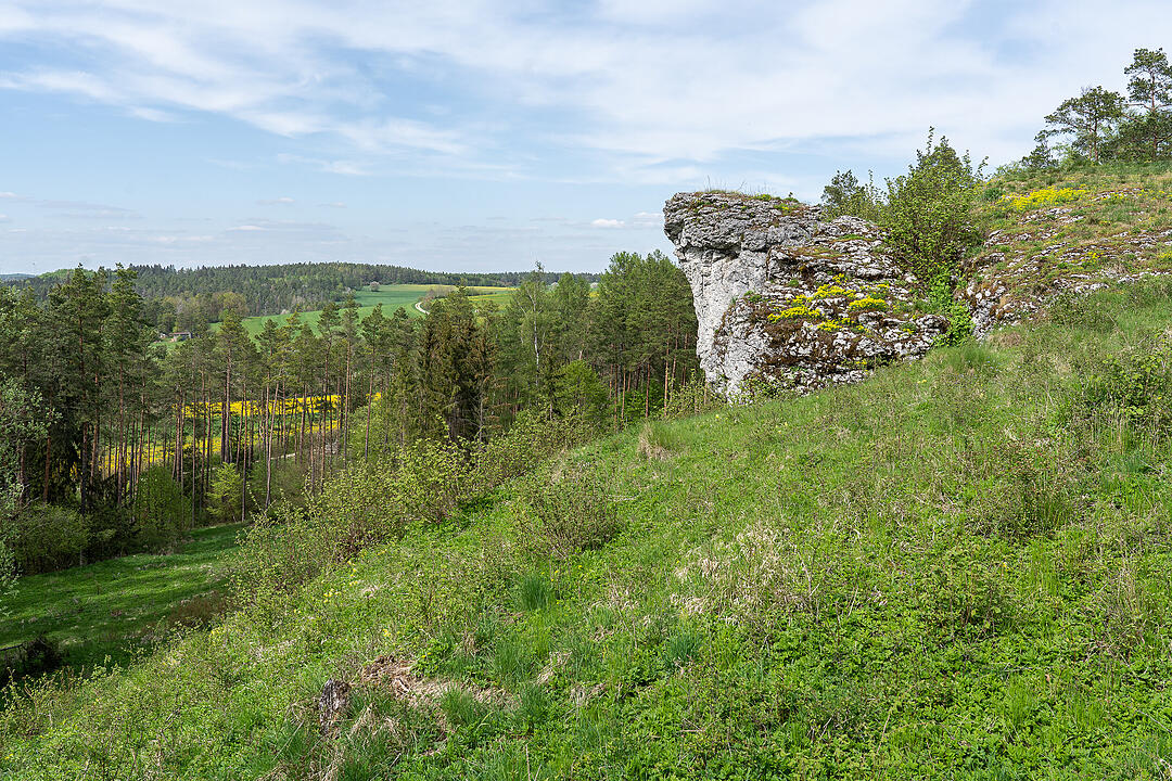 Der große Burgfels dient als toller Aussichtspunkt.