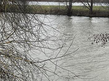 Wendelstein: Rentner aus Kanal gezogen - am Tag vor seinem Geburtstag