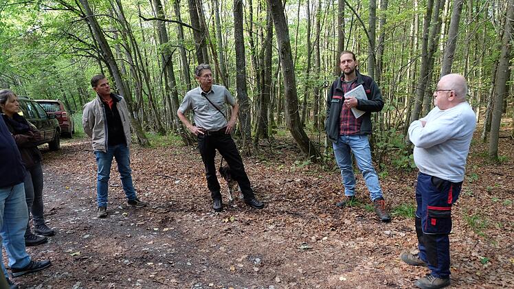"Der Wald in Thundorf ist gut aufgestellt und Schäden überschaubar", sagt Forstdirektor Hubert Türich (Mitte) bei der Waldbegehung mit den Gemeinderat.