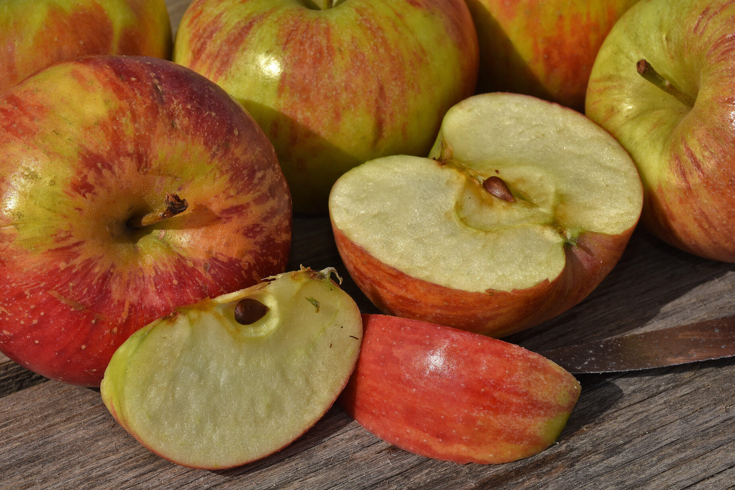 Giftig, aber gesund: Warum du die Apfelkerne mitessen solltest