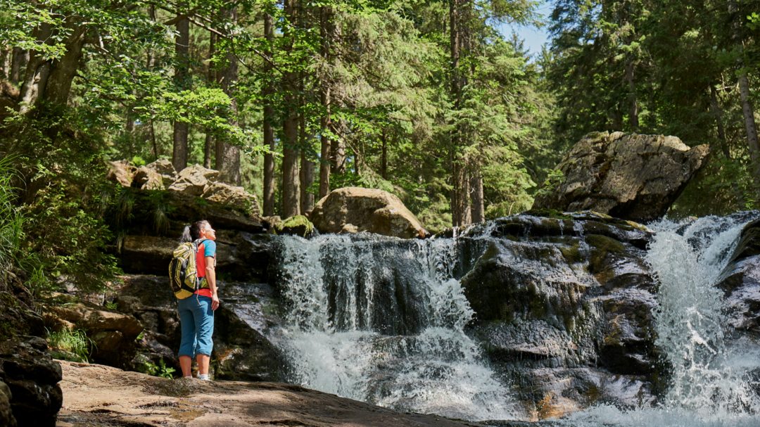 Tourismusverband Ostbayern e. V.: Plane deinen perfekten Familienurlaub im Bayerischen Wald