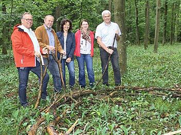 Stellten gestern das Waldstück vor, in dem es ab September eine neue Waldkindergartengruppe geben wird (von links): Pfarrgemeinderat Harald Klier, Kindergartenbeauftragter Theo Lunkenbein, Kindertagesstätten-Leiterin Ulrike Zenk, die Geschäftsleiterin der Gemeinde Ebensfeld, Katrin Lienert, und Bürgermeister Bernhard Storath.  Foto: Gerda Völk