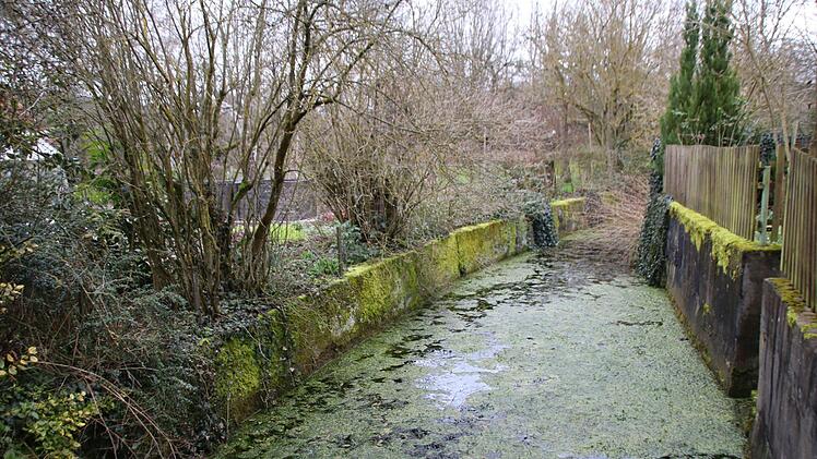 Im Garten von Hans Petsch gibt es den Arm noch. Er wird von Quellwasser gespeist. Thomas Malz