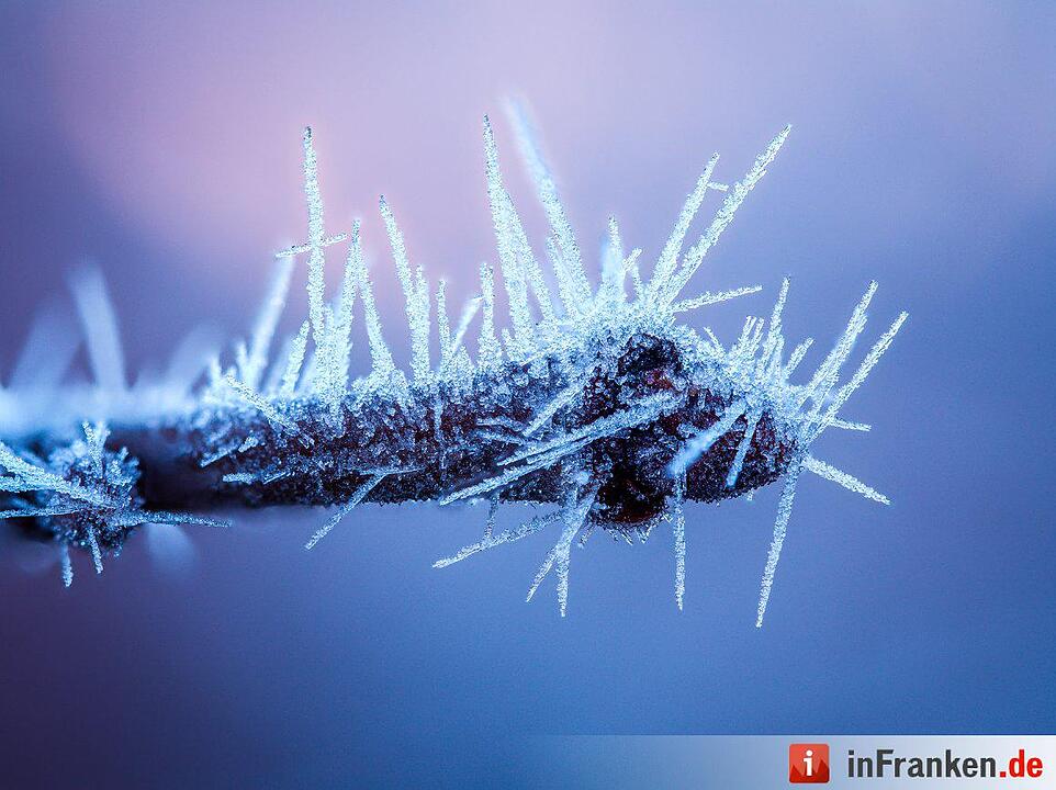 Eis und Schnee in Franken - die schönsten Winterleserfotos