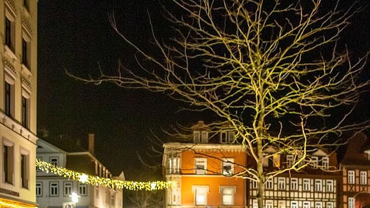 Winterzaubernacht in Coburg: Magische Lichtwesen und strahlende Attraktionen locken in Innenstadt