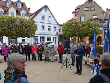 Die Pro-Europa-Kundgebung in Forchheim Foto: Pauline Lindner
