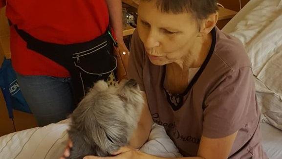 Wenn Besucher bettlägerig sind, springt der Besuchshund einfach mit ins Krankenbett. Foto: ASB Forchheim